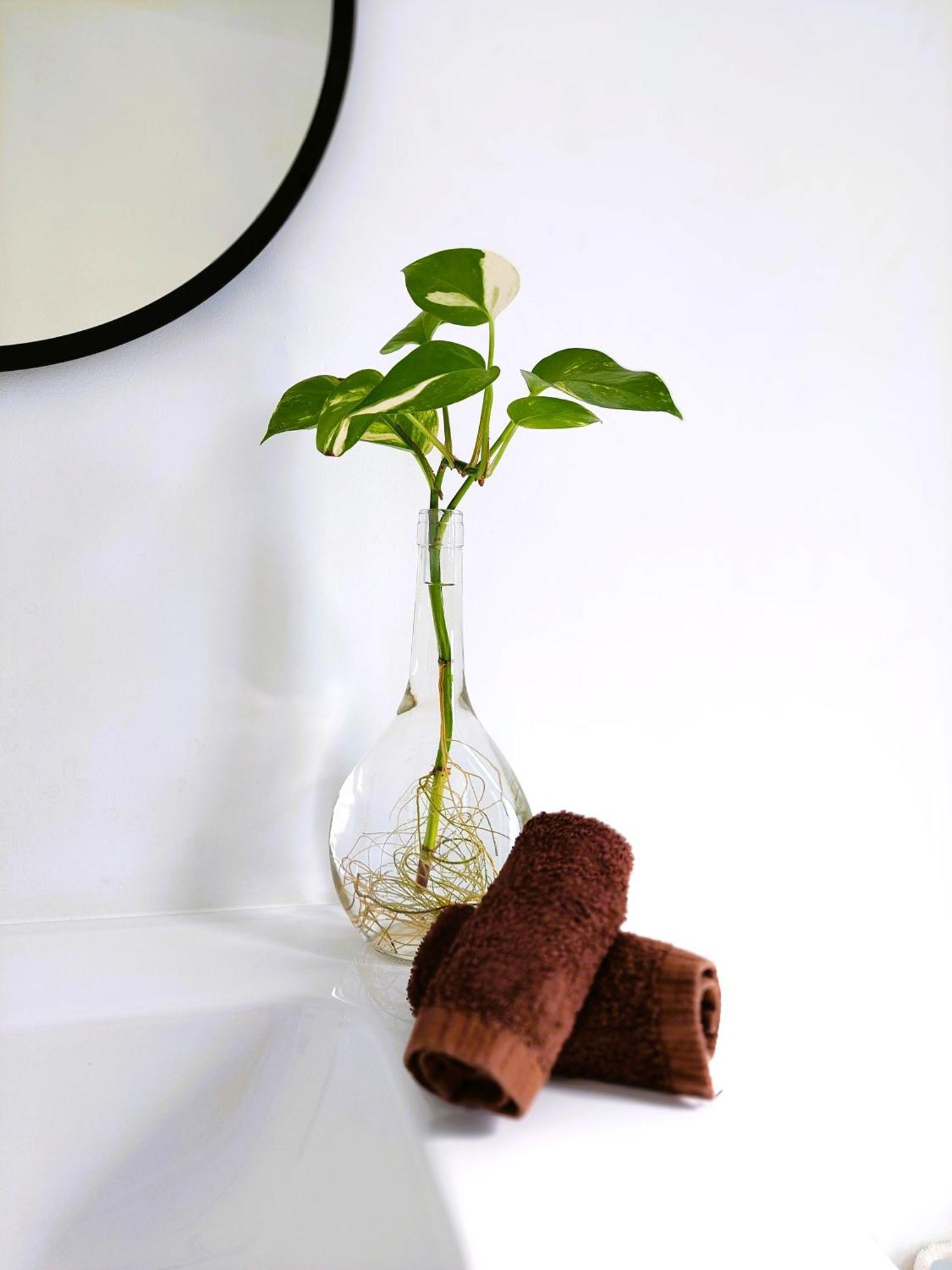 Mana Ecoretreat Las Breñas 外观 照片