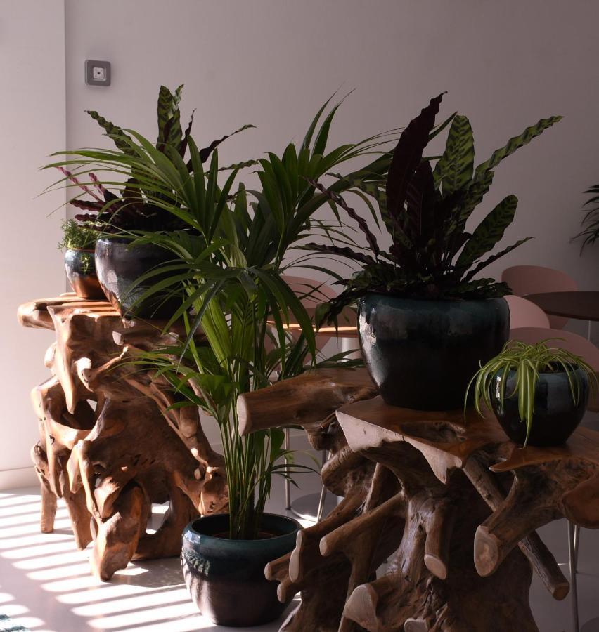 Mana Ecoretreat Las Breñas 外观 照片